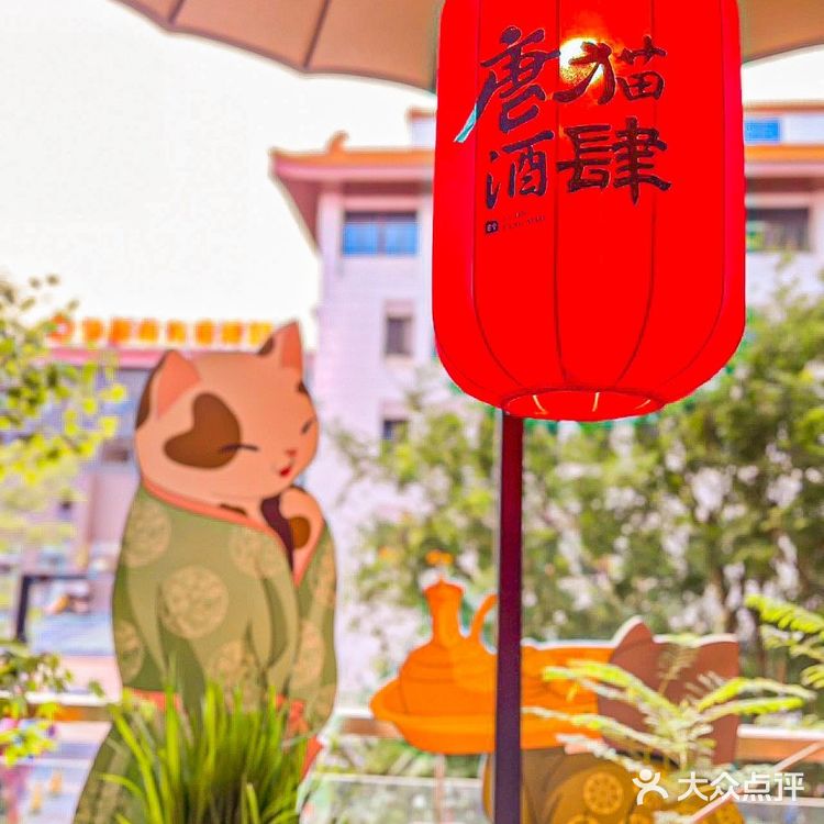 穿越千年，遇见唐猫酒肆的诗意生活～