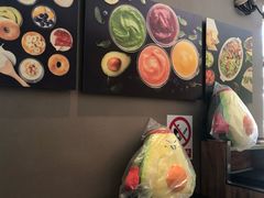 -油梨树AVOCADO TREE(顺义新国展店)