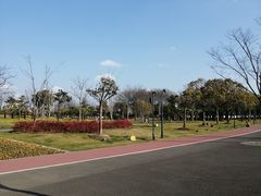 -上海山野camping·户外天幕烧烤·团建拓展营地