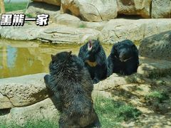 -郑州市动物园