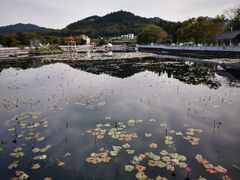 -红山村