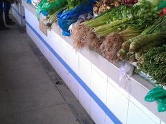 android_upload_pic-练塘古镇