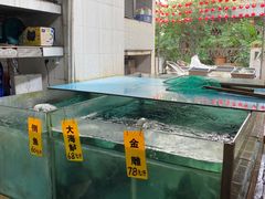 -寻味顺德·南记酒家·传统顺德菜·鱼生(广源路店)