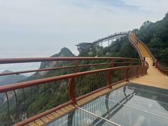 -少华山国家森林公园