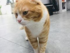 -极木²邸 人与宠物·互动社区