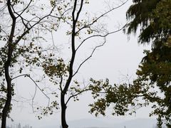 -东湖落雁景区