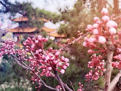 -威海华夏城景区