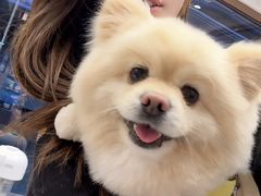 -FAELING PETS美天灵宠物(富力广场店)