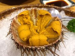 活海胆-吉川居酒屋(建国北路店)