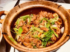 肥肠煲-煲煲好(朝阳门店)
