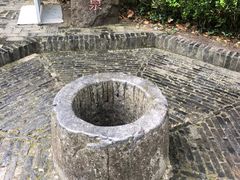 -上海佘山国家森林公园天马山园