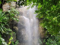 -昆明植物园