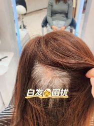 -Rebecca瑞贝卡时尚假发