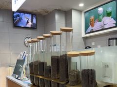 -雾与山茶(大禹城店)