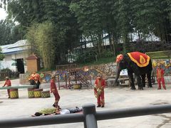 -云南民族村