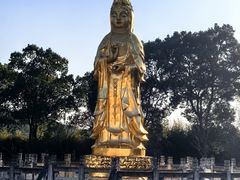 -报恩禅寺