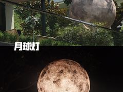 -恬阿姨庭院餐厅·生日宴
