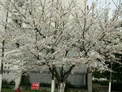 -江南大学(蠡湖校区)