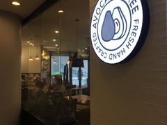 -油梨树 AVOCADO TREE(亮马桥店)