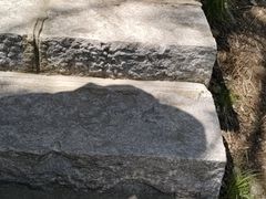 -金龙寺国家森林公园