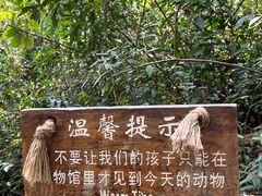 -普洱太阳河森林公园