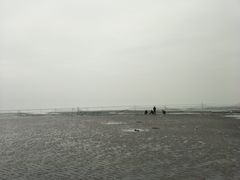 -东疆建设开发纪念公园