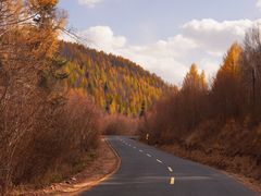 -塞罕坝国家级自然保护区