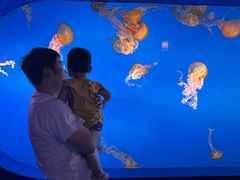 -太平洋海底世界