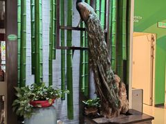 -雀舞云南菜(天津天河城购物中心店)