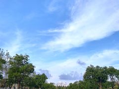 -春花秋色城市公园