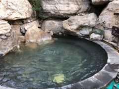 -仁爱团泊湖温泉中心