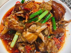 烤海螺-金太阳海鲜烧烤·本地人餐厅(星海公园店)