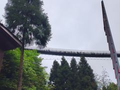 -娄山关景区