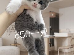 -127陈设艺术产业园-A座