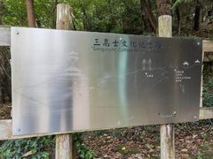 -上海佘山国家森林公园天马山园