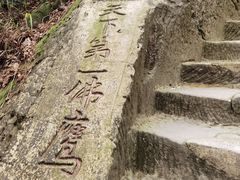 -大金鹰园