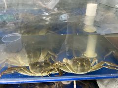 -阳澄湖大闸蟹·琼灵阁牌品牌连锁(吴中总店)