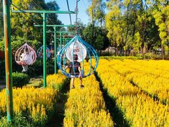 -广东花都香草世界旅游度假区