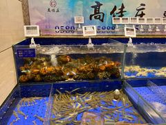 水产区-高佳庄·舟山海鲜(海景旗舰店)