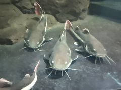 -泉州海丝野生动物世界