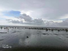 -江山半岛白浪滩景区