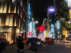 -俺的焼肉(銀座9丁目店)
