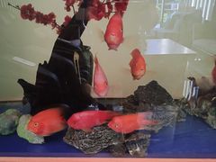 -延年酒店-延飨餐厅(延年文苑店)