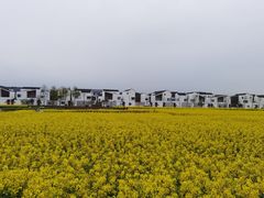 -东梓关景区村庄