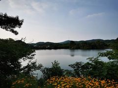 -镇江市南山风景名胜区竹林景区