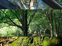 -火炉山森林公园