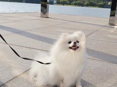 -上海月湖雕塑公园