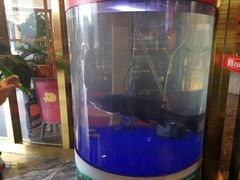 -解家河南菜(商鼎路店)