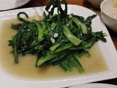 蒜蓉油麦菜-站前猪蹄&家常炒菜(长乐公园店)