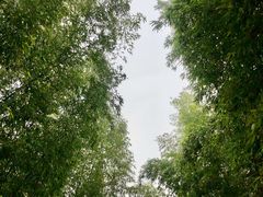 -苏州环秀晓筑养生度假村